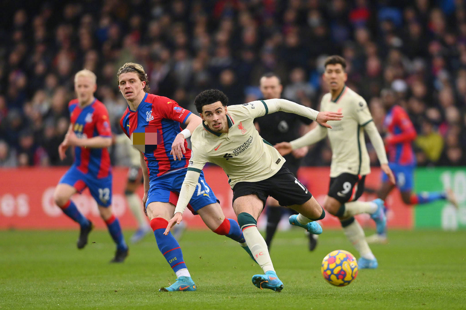 无疑是令人 无疑是令人