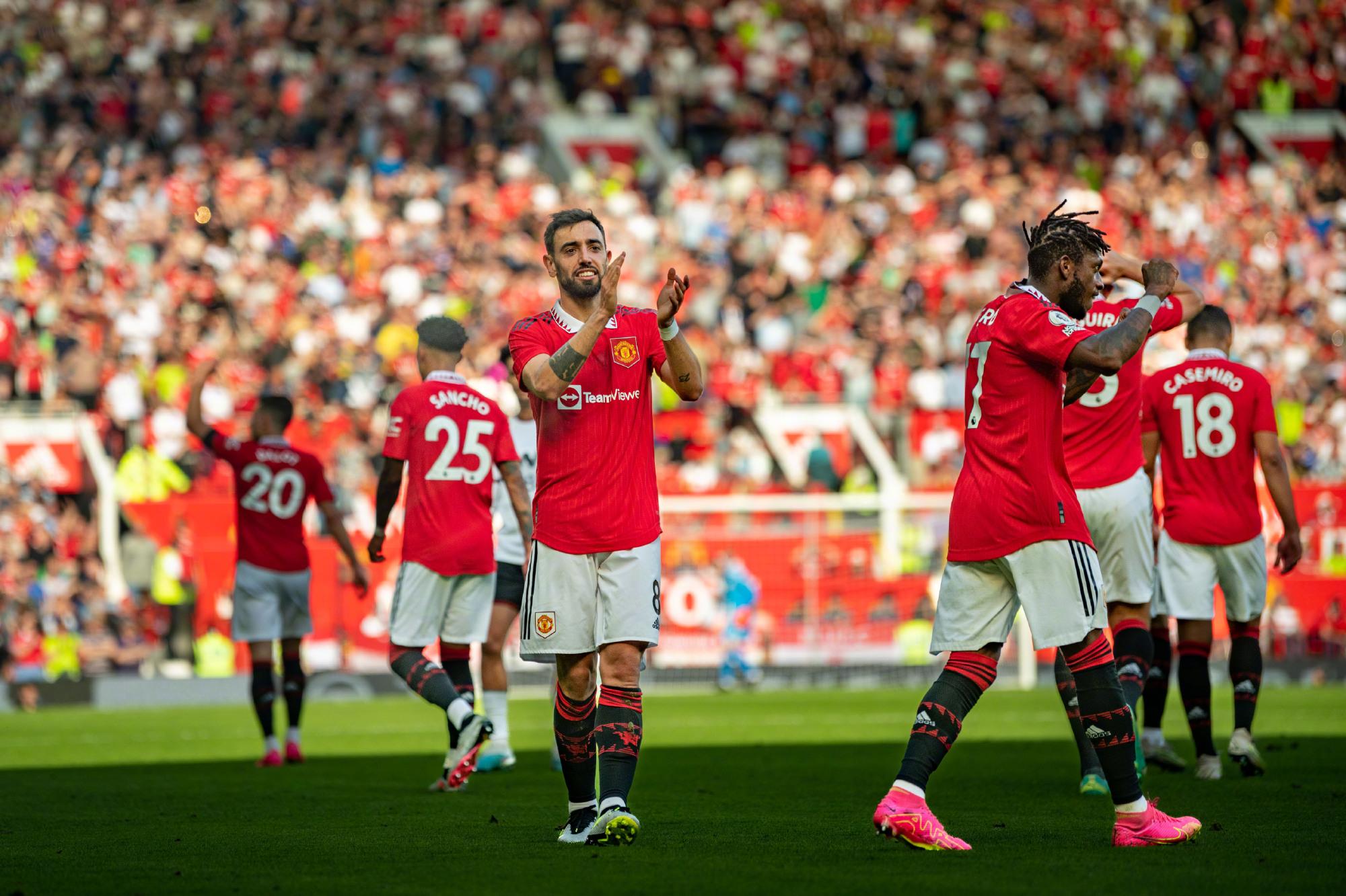 化的多样性 化的多样性